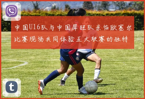 中国U16队与中国犀旺队亲临欧塞尔比赛现场共同体验五大联赛的独特魅力